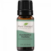 Eucalyptus Radiata Essential Oil, 10 ml