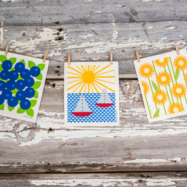 Swedish Dishcloth Set of 3